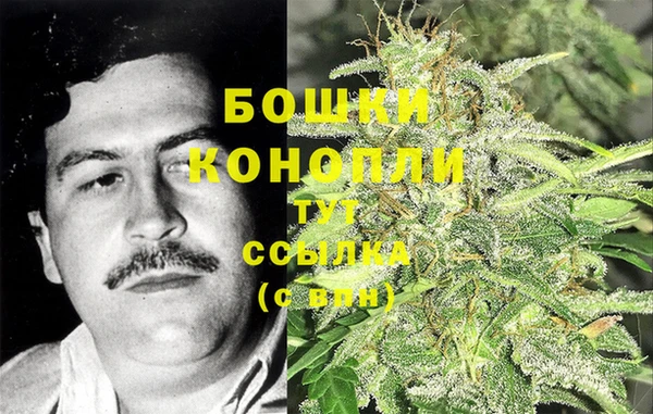 СК Пересвет