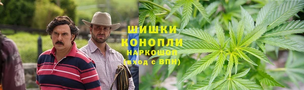 СК Пересвет