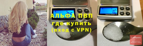 крисы Пестово