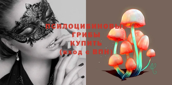 дживик Переславль-Залесский