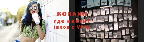 крисы Пестово