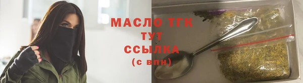 СК Пересвет