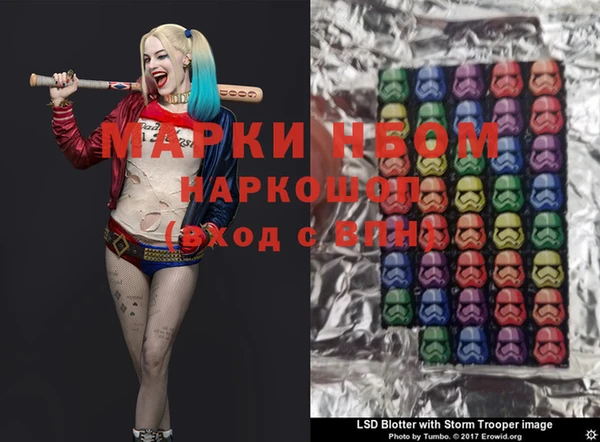 крисы Пестово