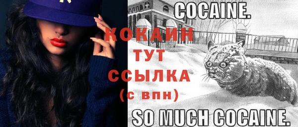 дживик Переславль-Залесский