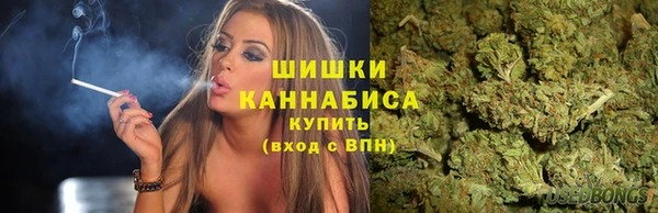 СК Пересвет