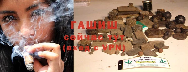 дживик Переславль-Залесский