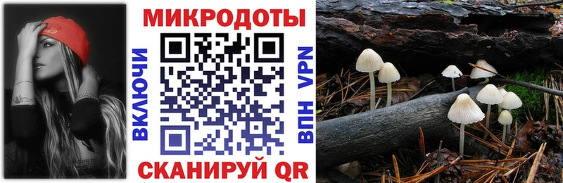 Галлюциногенные грибы Psilocybine cubensis Сычёвка